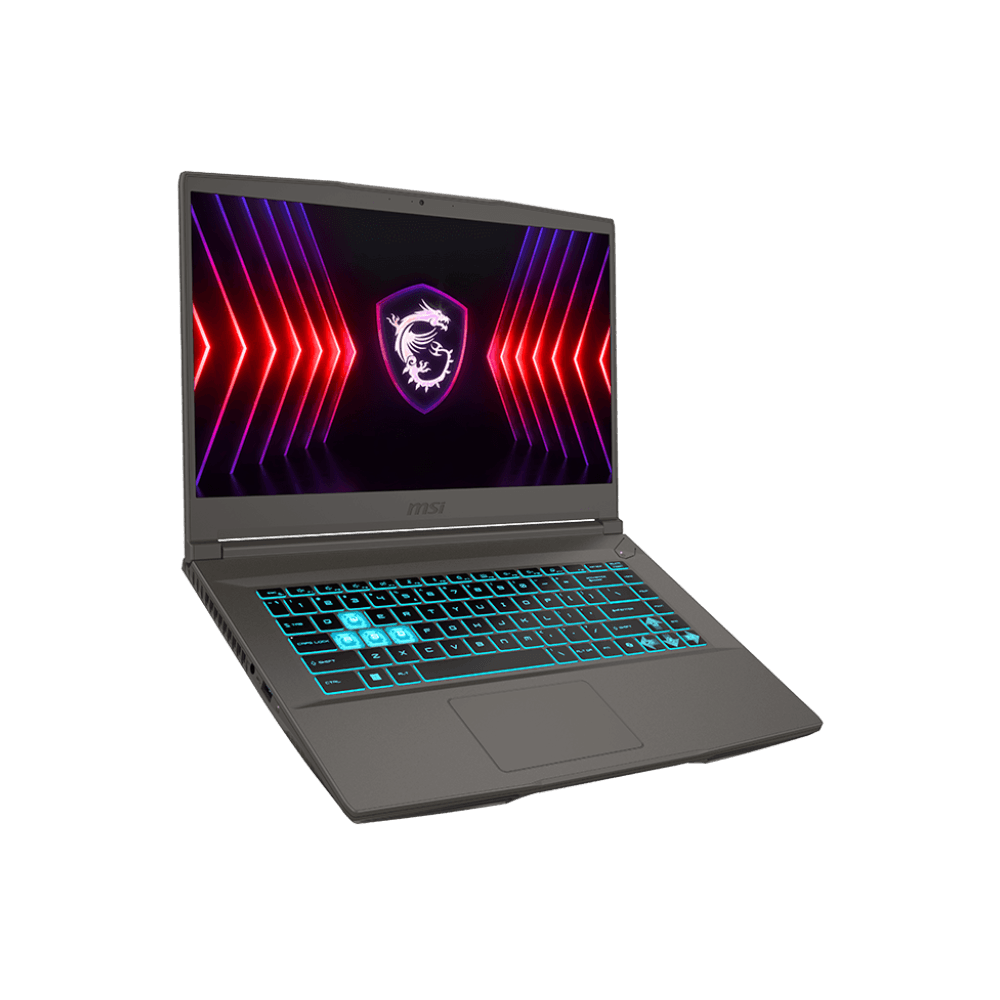 MSI THIN 15 B13UDX